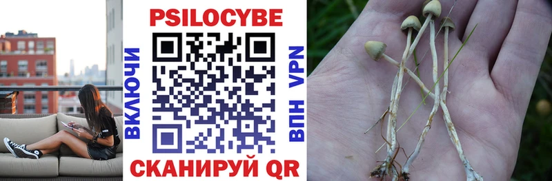 Псилоцибиновые грибы MAGIC MUSHROOMS  Купить где  Воронеж 